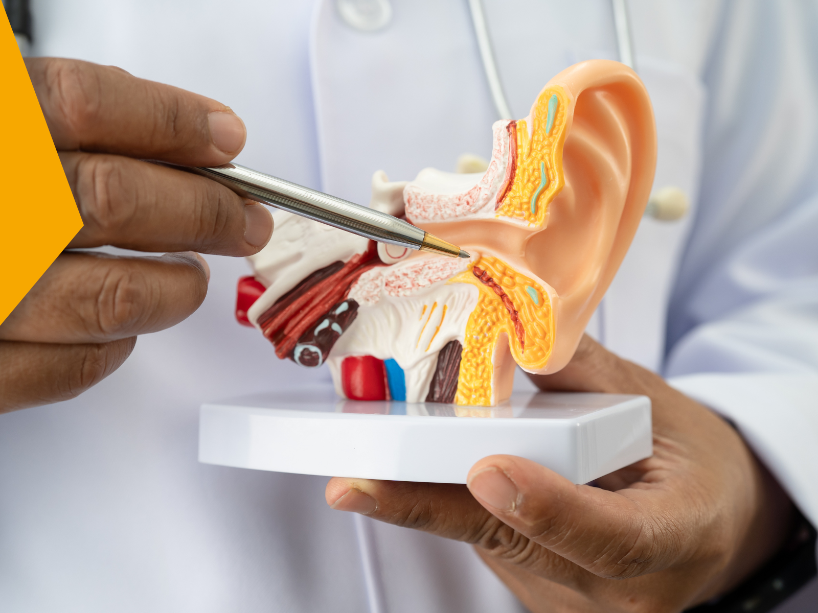 El programa de marketing para centros audiológicos que fideliza y atrae pacientes